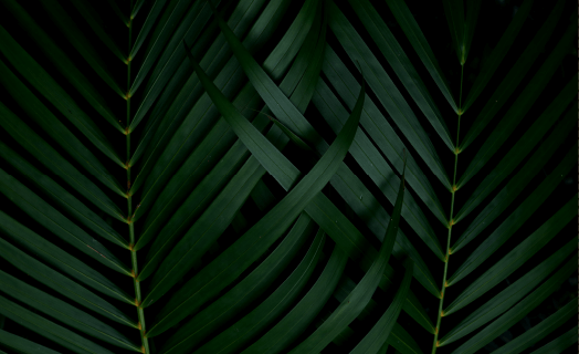 inner_01_02 https://codenameshowstopper.co/assets/media/inner_01_02.png